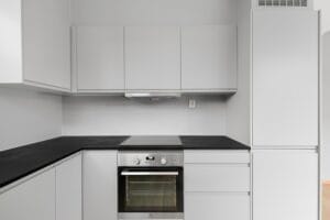 induction cooker bangla